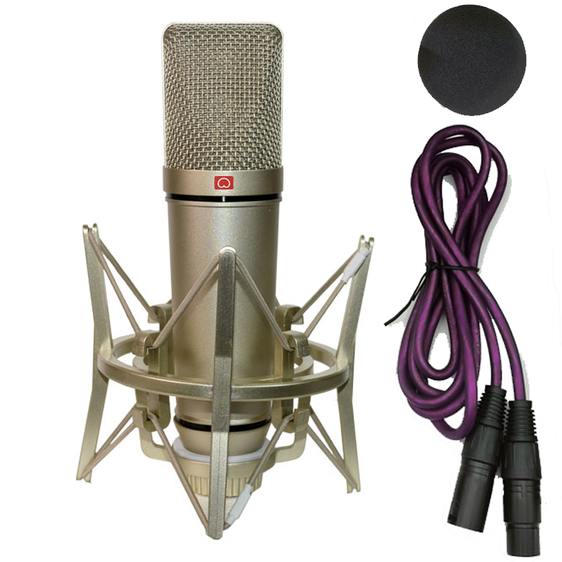 ميكروفون مكثف احترافي ، ميكروف - مراجعة Shure Mic Sm58 وسعره